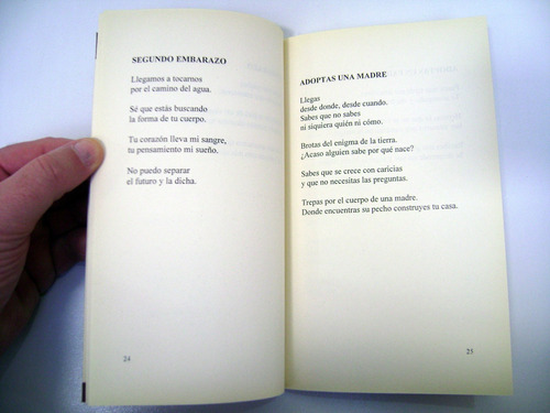 La Ventana Lorenzo Facorro Poesia Vinciguerra Usado Ok Boedo (Usado)