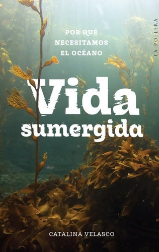 Vida Sumergida (nuevo) - Cataloina Velasco