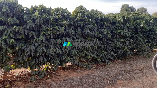 Imagem 7 de 12 de Fazenda - Zona Rural - Ref: 5175 - V-mta5175