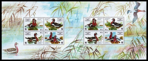 Fauna - Wwf - Barnacla Cuellirroja - Ucrania - Hojita Mint 