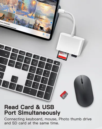 Lector De Tarjetas Sd Usb C Lector De Tarjetas Sd 3 En 1 Con