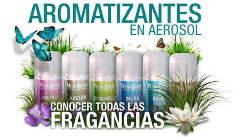 Aromatizadores -aerosoles New Scent X 12 Uds