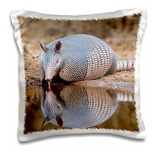 3d Rose Nueve Bandas Armadillo Wildlife En Pond-texas-usa-us