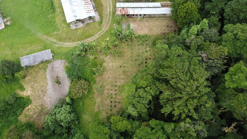 Imagen 8 de 22 de N.m. Finca En Venta En Capacho