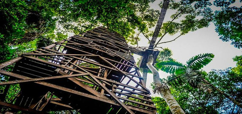 En Venta Lotes Ecológicos En Tulum (237)