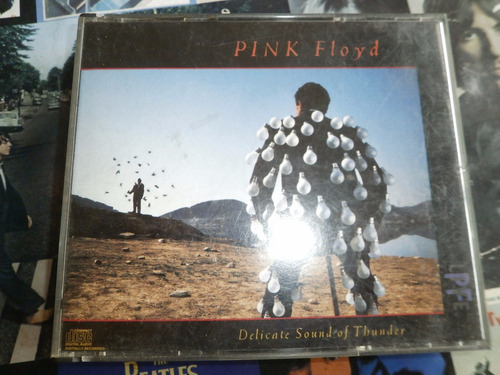 Pink Floyd Delicate Sound Of Thunder Cd's Made In Usa 1988