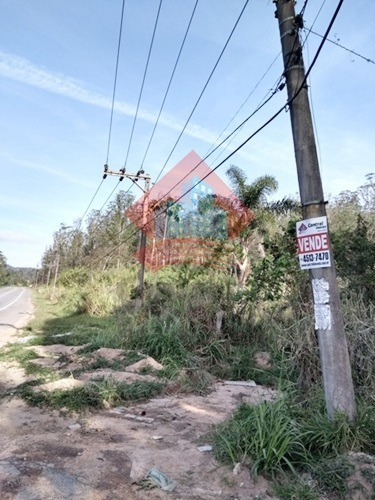 Imagem 4 de 8 de Terreno - Ref: 00430