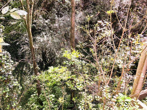 ¡una Joya En Mitad Del Bosque Pegada A Santa Fe! En Privada