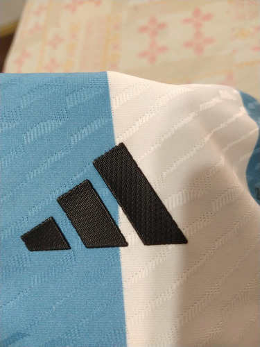 Camiseta De Argentina Qatar 2022 Talle M #10 Messi (Usado)