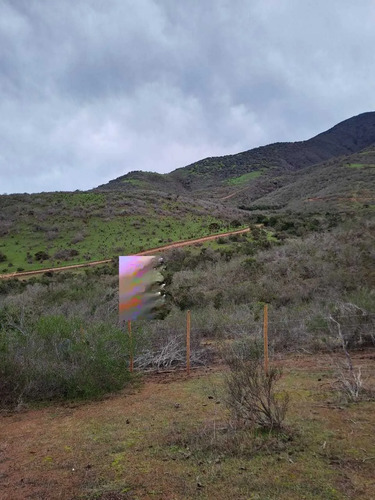 Terreno 3 Hectáreas El Trapiche La Ligua (85586)