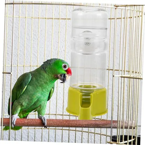Bebedero Para Pájaros Toddmomy: Fuente De Agua Para Aves
