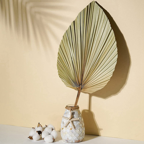 Hojas De Palmera Secas Para Decoración De Habitación, 10 Pie