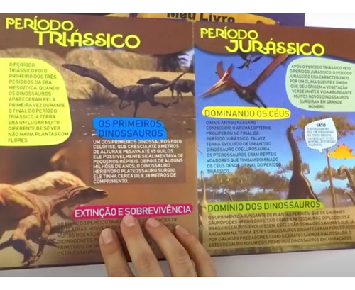 Meu Livro Incrível: Dinossauros - Todolivro - Dinossauro