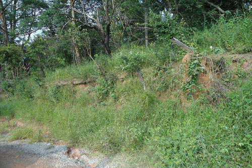 Imagem 6 de 6 de Terreno, Parque Mirante De Parnaíba, Santana De Parnaíba - R$ 1.44 Mi, Cod: 172000 - V172000