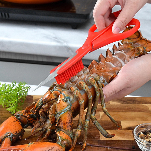 Tijeras Para Alimentos Tijeras Para S Con Cepillo Utensilio