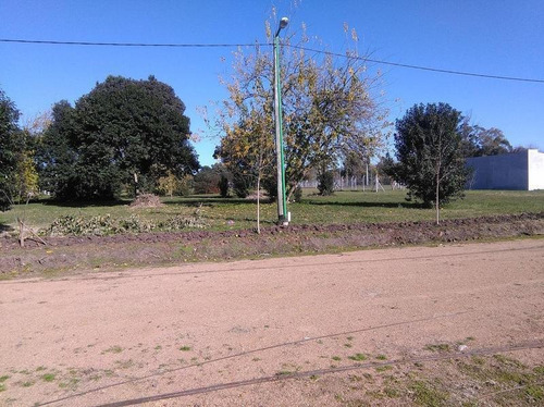 Imagen 7 de 15 de La Aurora - 7 E/ 602 Y 603 - Villa Elvira-lote-venta
