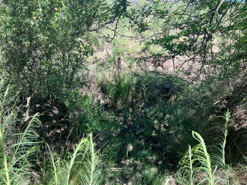 Venta Campo Villa Quillinzo (40 Hectareas) Ideal Para Loteo