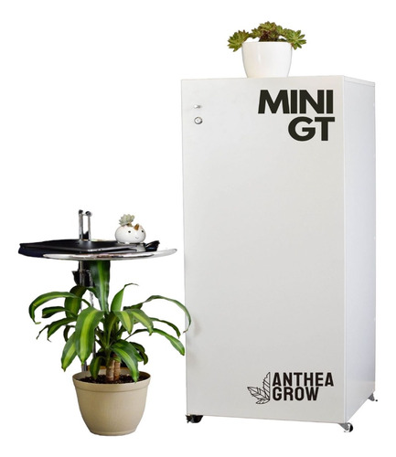 Armario Indoor Carpa Cultivo Completo Mini Gt Growtech Anthe