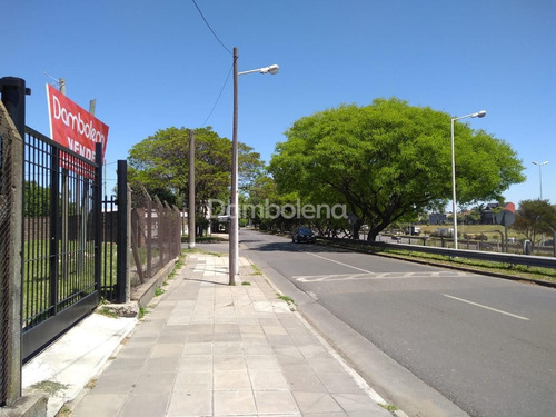 Imagen 4 de 9 de Terreno Fraccion En Alquiler En El Palomar, Morón, G.b.a. Zona Oeste