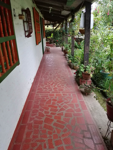 Imagen 10 de 14 de Rento Hermosa Casa Campestre En Silvia, Cauca