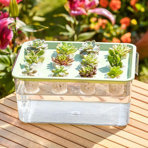 Caja De Hidropónico, Acuario De Para Interiores, Amarillo
