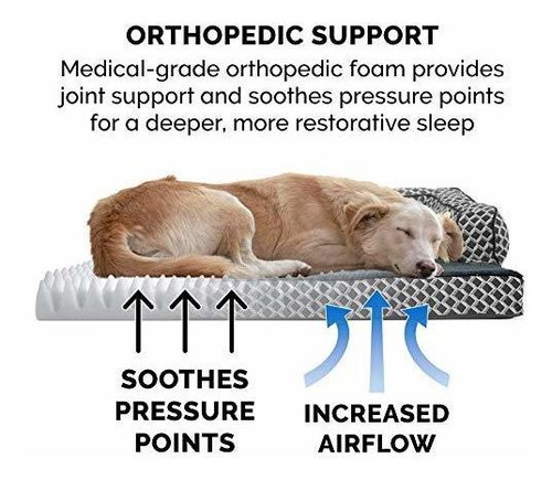 Imagen 5 de 5 de Cama Perros Jumbo Furhaven Espuma Ortopédica Funda Extra