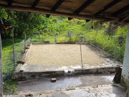 Finca En Guacamayas, Santander, Al Día En Documentos.