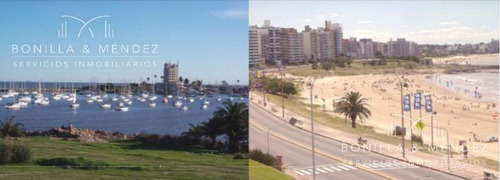 Mirador Del Puerto, Puerto Del Buceo