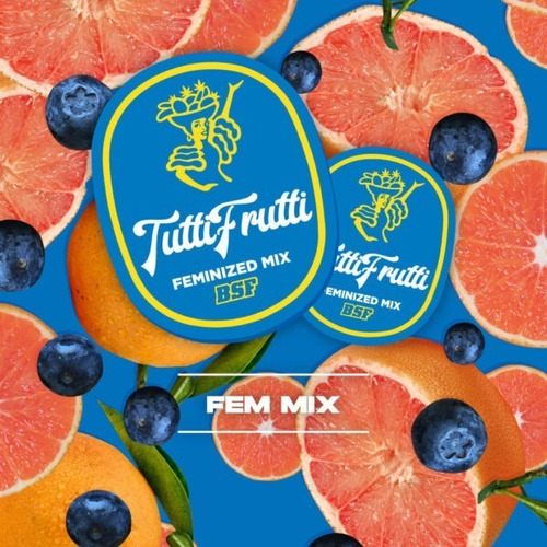 Bsf Tutti Frutti Fem Mix 12 Semillas 100% Originales