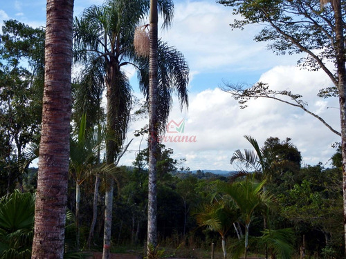 Imagem 10 de 10 de Chácara Com Piscina Ideal Para Moradia 2 Casas 6 Mil M²