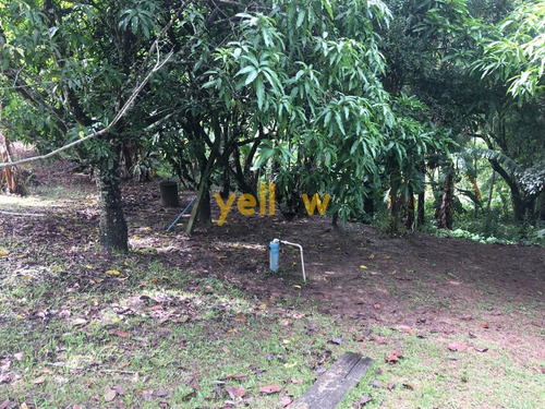 Imagem 16 de 18 de Terreno - Jardim Aracy - Te-1614