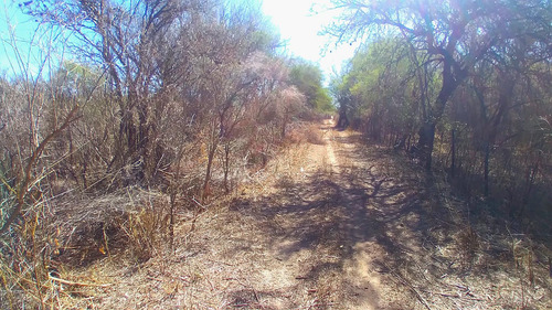 Villa De Soto Campo De 45 Has En Paraje Las Cañadas