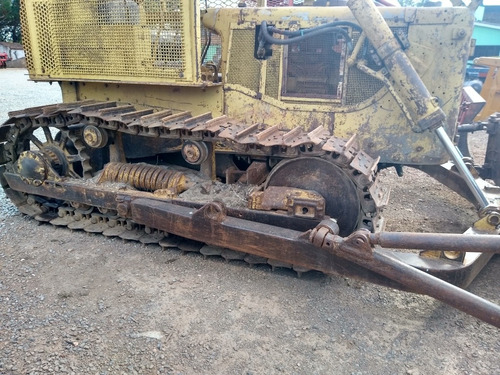 D6