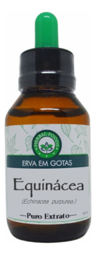 Extrato De Equinácea 60ml Imunidade Produtos Naturais Herbal Foods 