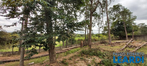 Imagem 5 de 13 de Chacara - Jardim Currupira - Sp - 638125