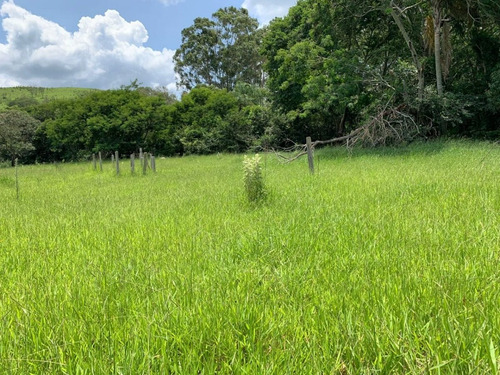 Imagem 15 de 26 de Tm- Vendo Lote Barato Tratar Direto Com Proprietário