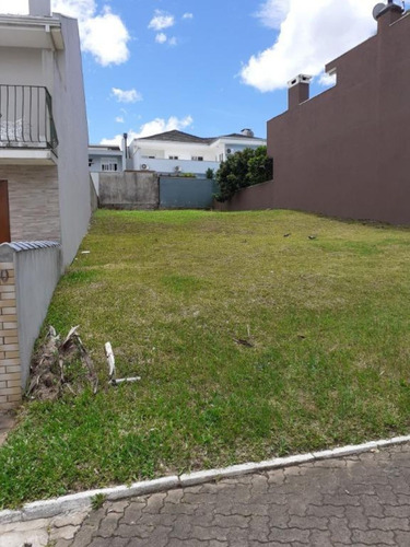 Imagem 3 de 30 de Terreno - Te00024 - 69351236