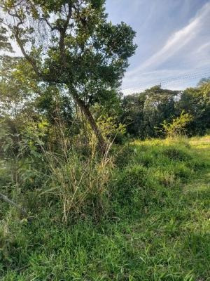 Imagem 10 de 10 de Terreno Na Praia De Itanhaém Litoral Sul Sp - Entrada 20 Mil