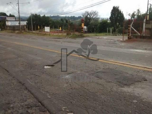 Imagem 5 de 5 de Cód 1410 - Ótimo Terreno De Frente Para A Rodovia. - 1410