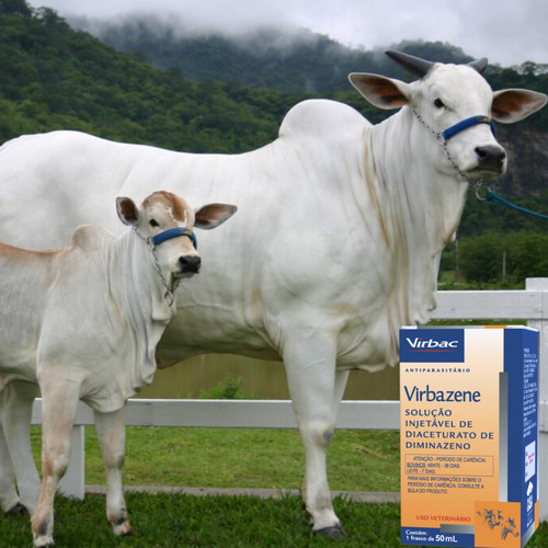 Kit Com 2 Virbac Virbazene 50 Ml