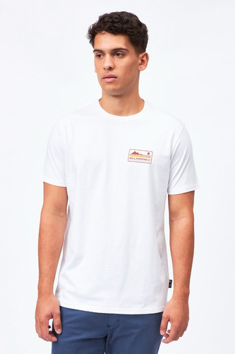 Remera Hombre Billabong Range