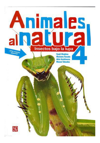 Animales Al Natural - Insectos Bajo La Lupa