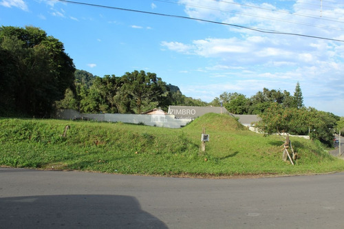 Imagem 12 de 13 de Terreno De Esquina Casemiro De Abreu 866m² Bairro Perpétuo Socorro - 12860