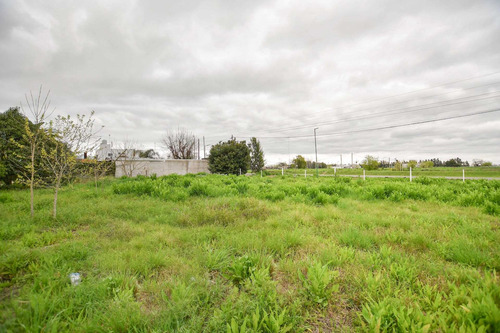 Imagen 8 de 15 de Terreno En Venta La Plata
