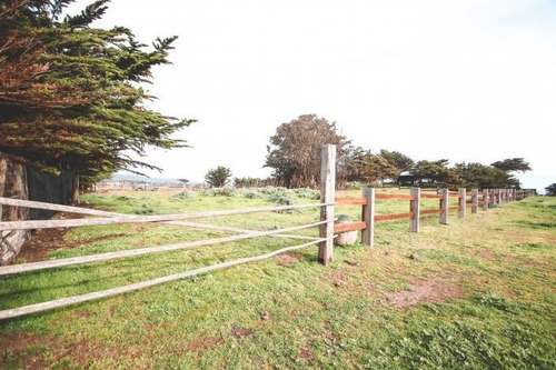 Pionero - Mirador Punta De Lobos