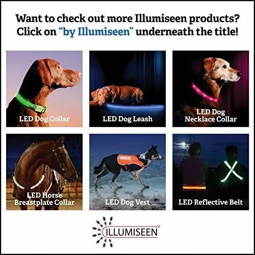 Conoce a: Luz led recargable para perros 