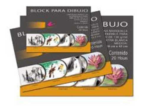 Blocks Para Dibujo, Rodin, Chico