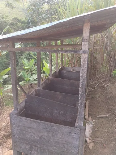 Vendo Finca En Yolombo Antioquia