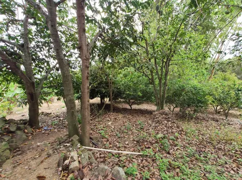Lote En Venta En Via Cucuta A Pamplona, Nueva Calzada. Cod V25591