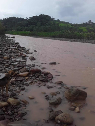 Imagen 22 de 23 de Finca Productivo En Tachira